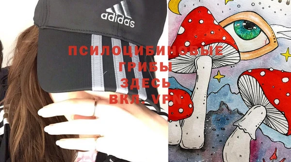 стаф Алексеевка