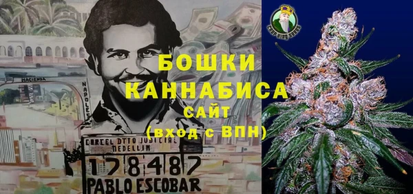 стаф Алексеевка