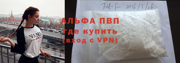 СК Алексин