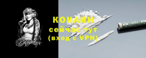 СК Алексин