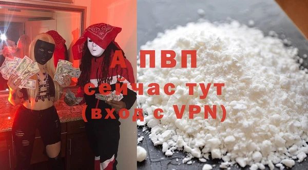 СК Алексин