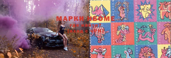 ECSTASY Алзамай