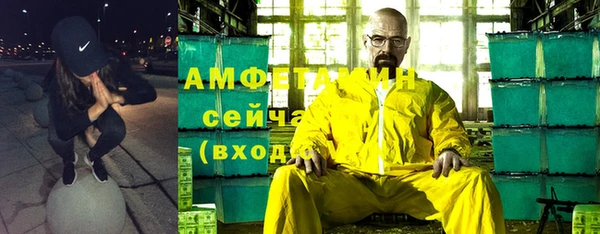 СК Алексин