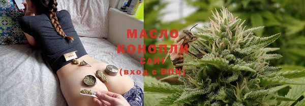 СК Алексин