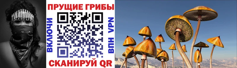 Псилоцибиновые грибы мухоморы  купить наркоту  Топки 